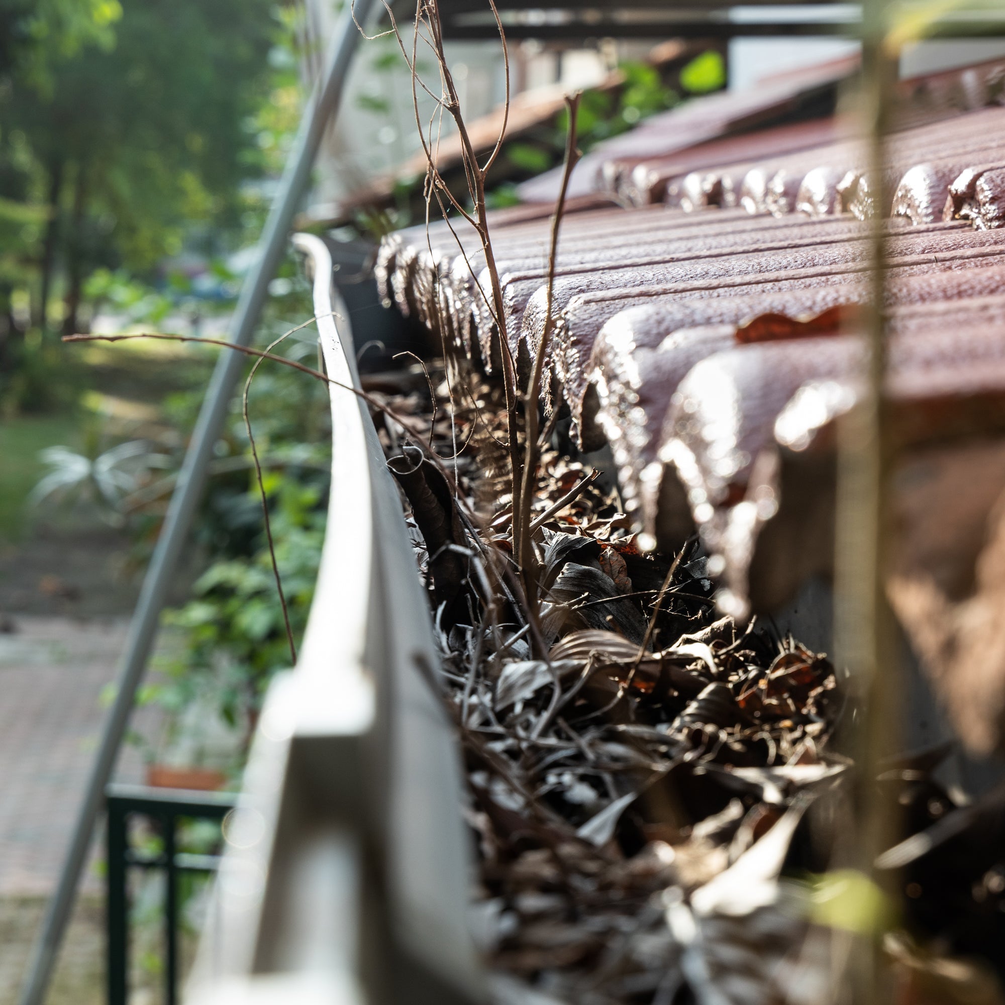 Why October Is Gutter Cleaning Season