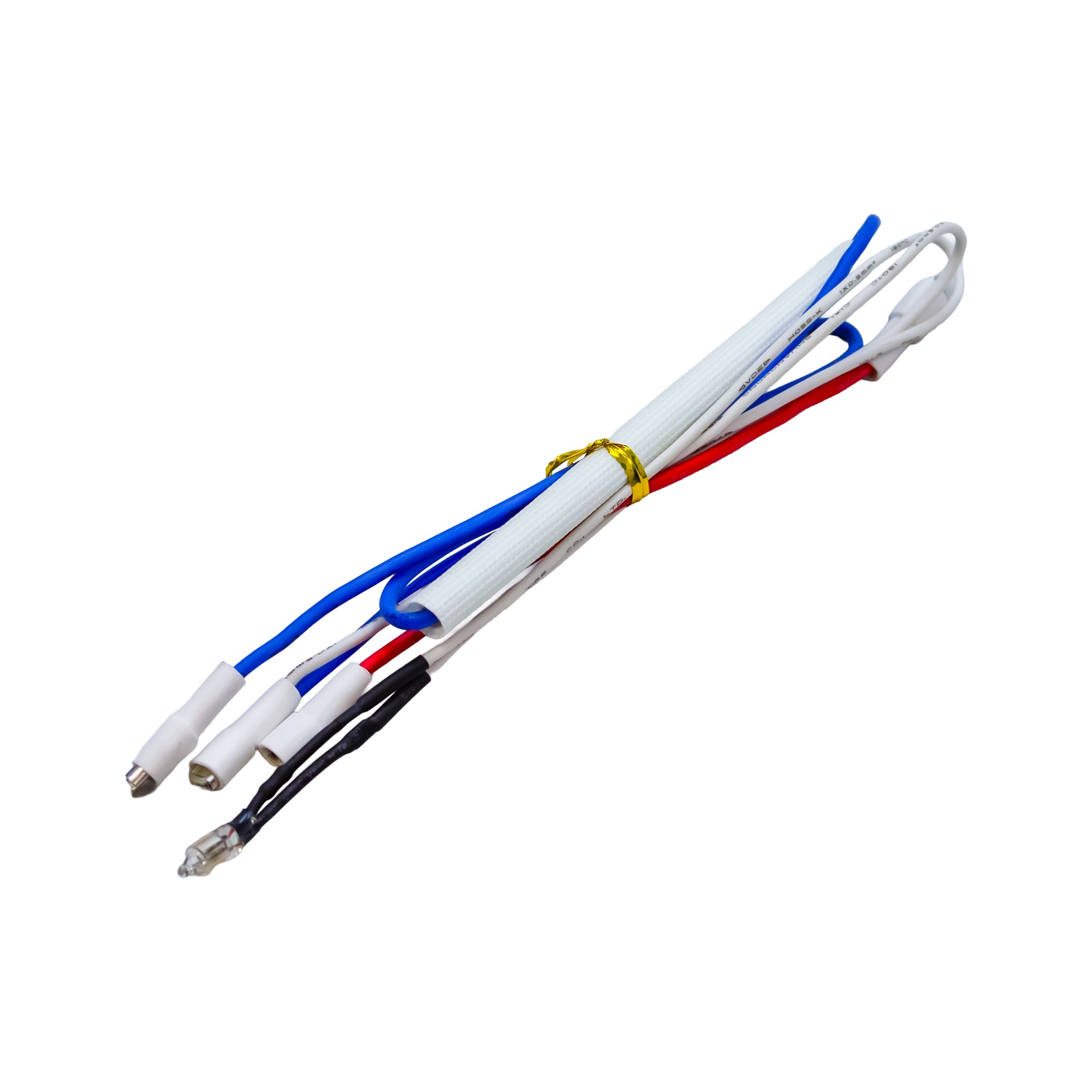 Wiring Loom for Aquarius Pro Steam