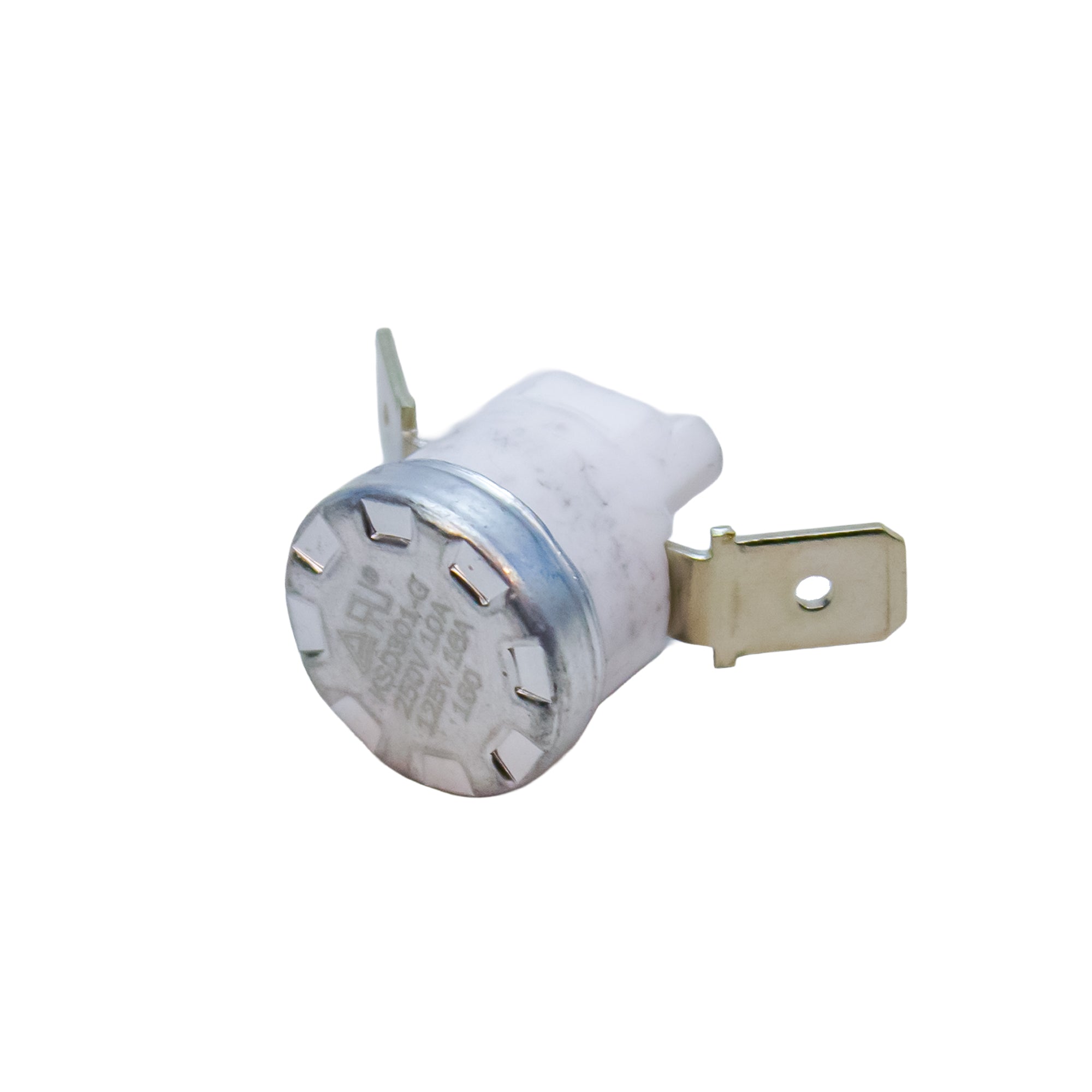 Temperature Controlled Thermostat for Aquarius Pro Steam