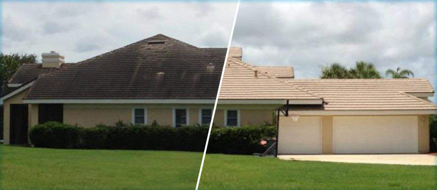 Hypo SuperFoam+ 10L (Moss & Algae Remover) Softwash Solution