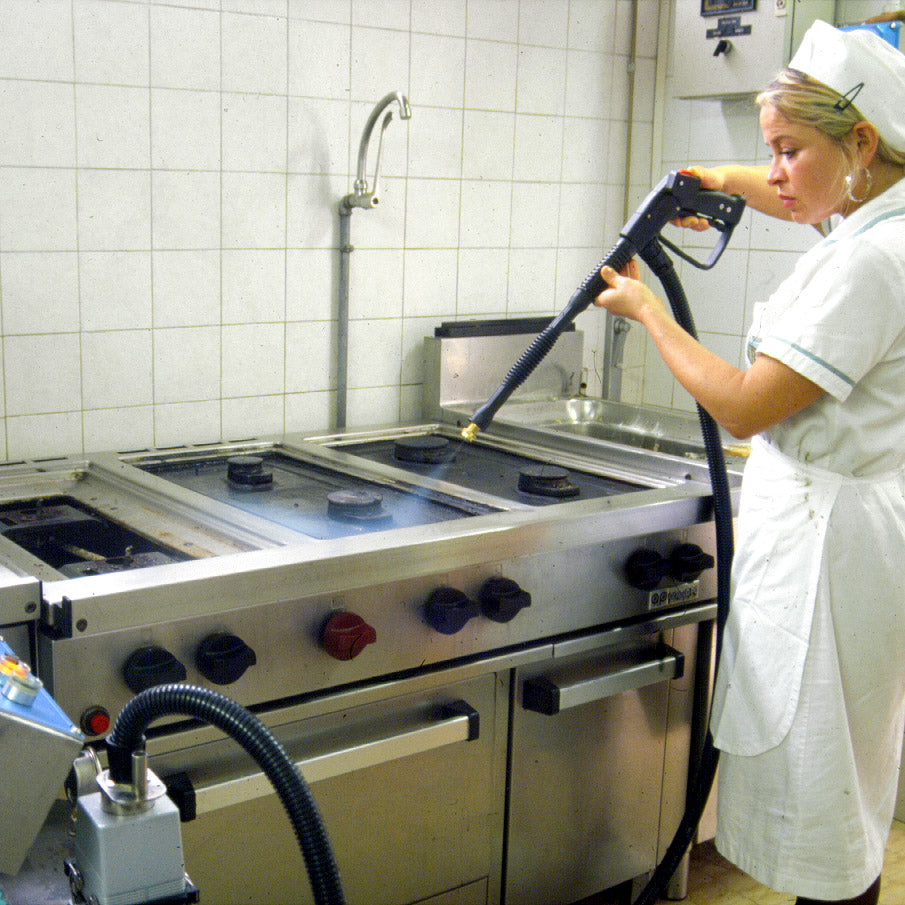 Lavor GV Vesuvio 10 Industrial Steam Generator Cleaner